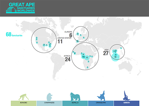 Great-Apes-Visualization